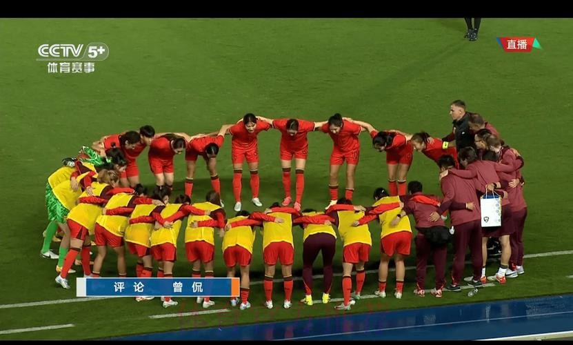 免费在线观看女足世界杯精彩直播